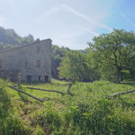 Verso Sassello - Casentino 81