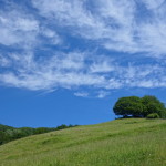 Verso Sassello - Casentino 99