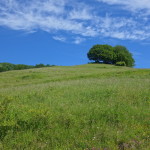 Verso il Sassello - Casentino