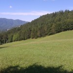 Vista Casentino