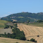 Gemmano-697