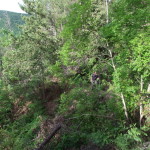Gola del Furlo-90