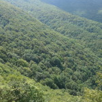 Il Catria-2804