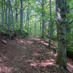 Il Catria-2822