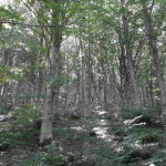 Il Catria-2823