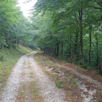 Il Catria-2833