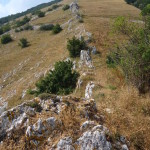 Il Catria-2838