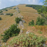 Il Catria-2841