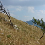 Il Catria-2852