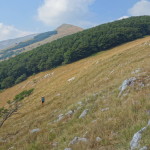 Il Catria-2855