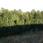 Il Catria-2913