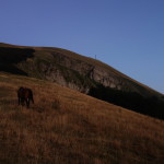Il Catria-2958