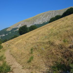 Il Catria-2966