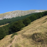 Il Catria-2969