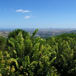 Veduta da Gemmano-698