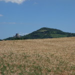 Veduta di Farneto e Montefiore-724
