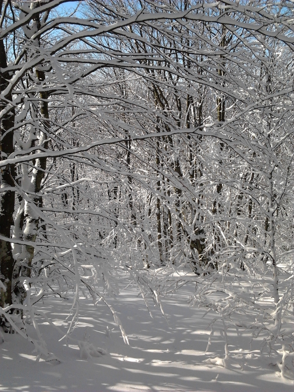 Alpe della Luna 19 – neve