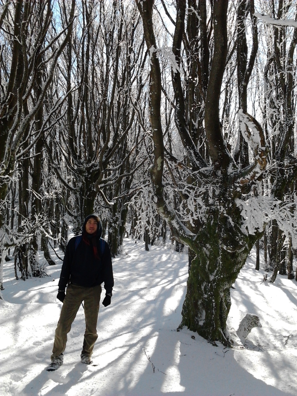 Alpe della Luna 24 – neve