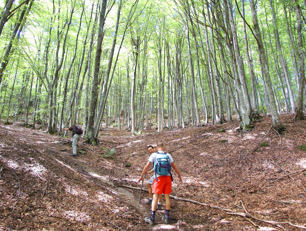 Alpe della Luna 4868