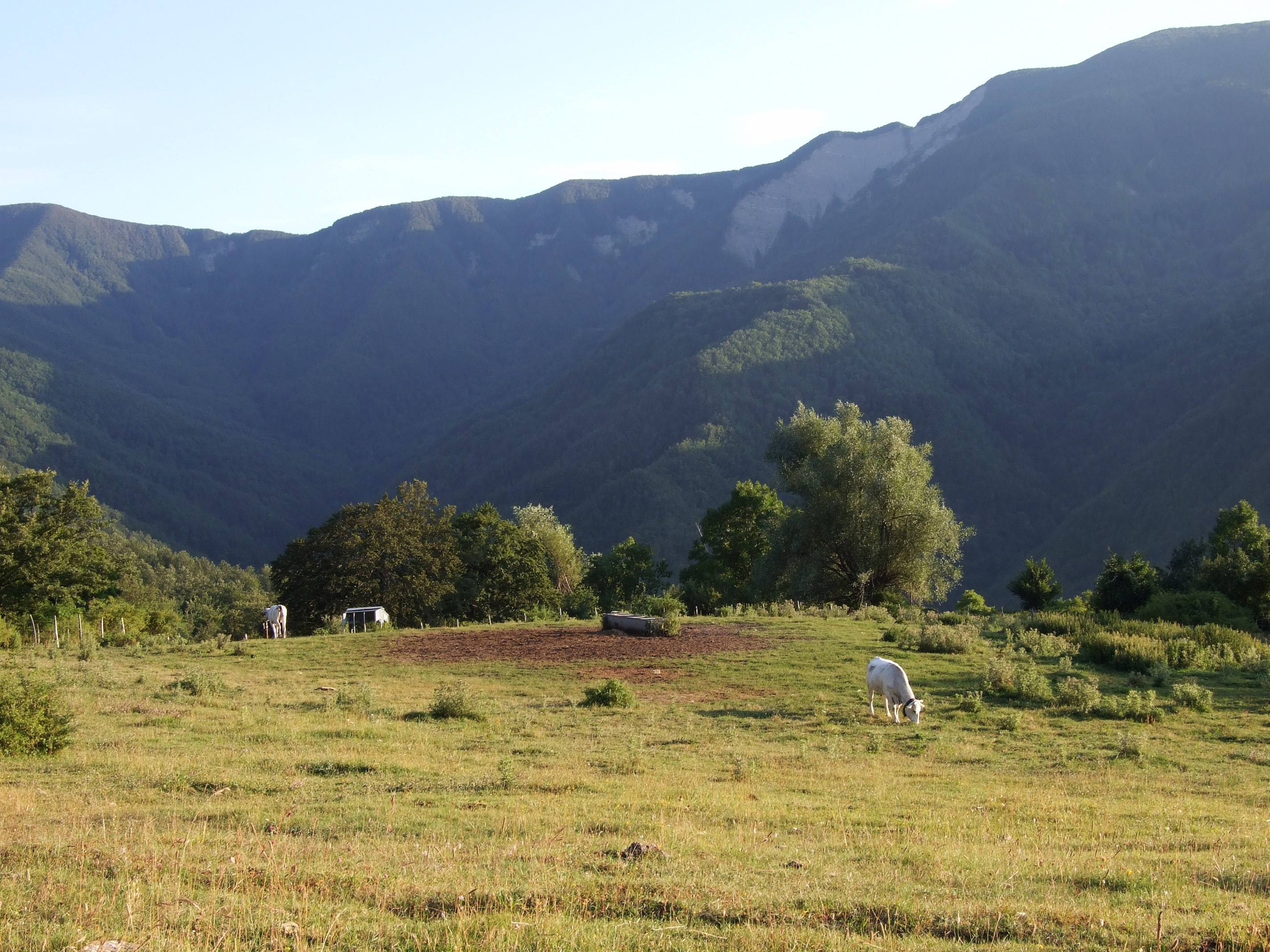 Alpe della Luna 6001_1