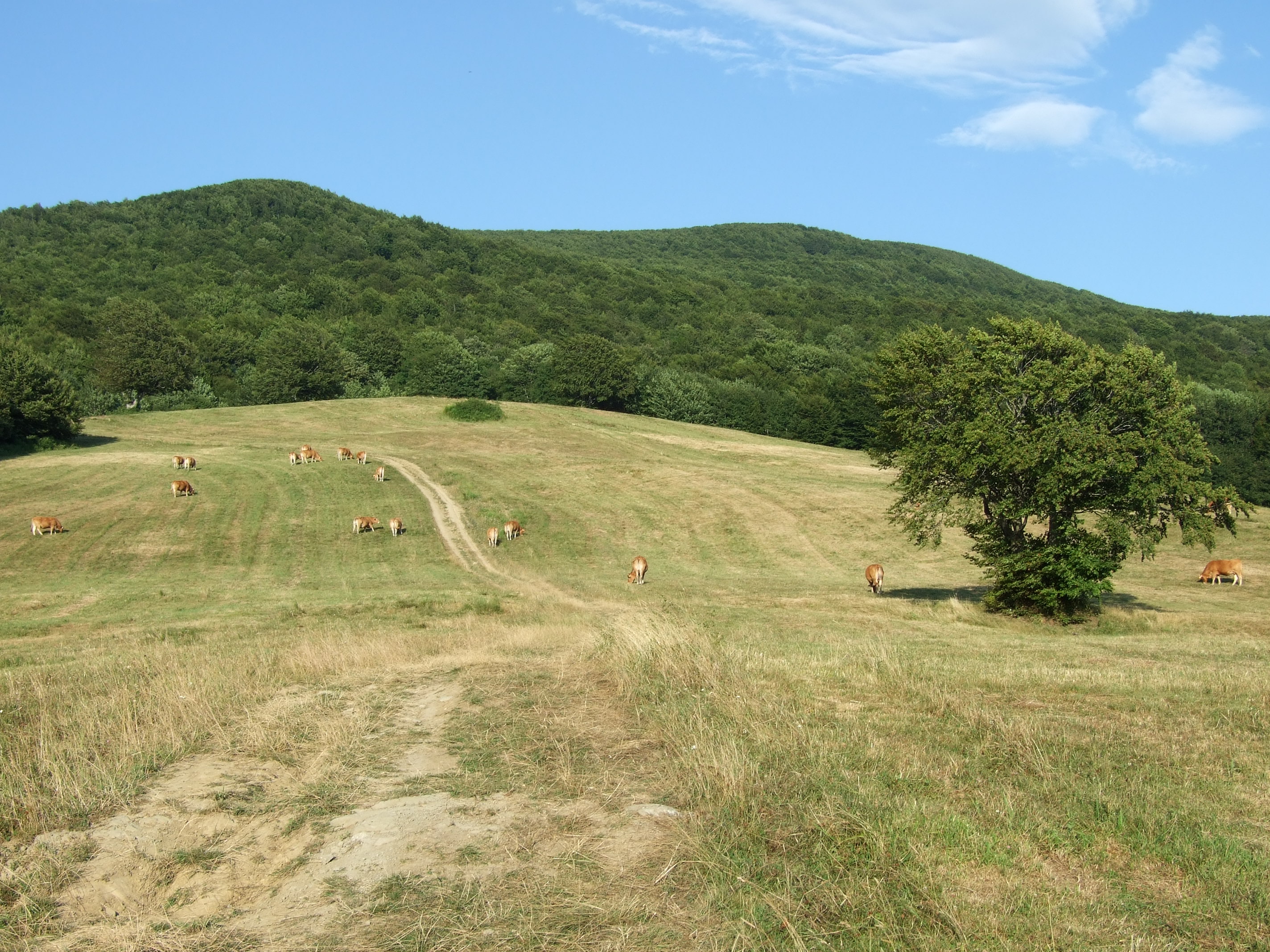 Alpe della Luna 6075