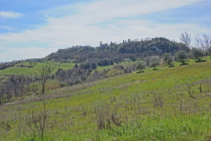San Giovanni in Galilea-224