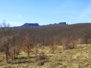 Sasso Simone Simoncello 4725