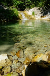 Carpegna.043
