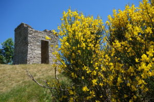 Carpegna.082